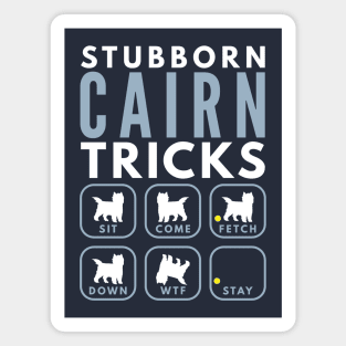 Stubborn Cairn Terrier Tricks - Dog Training Magnet